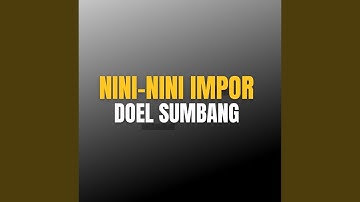 Nini-nini Impor