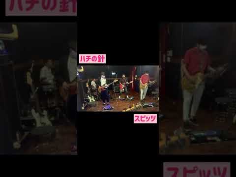 2021/09/05　ハチの針 / スピッツ　byサモエド旅に出る