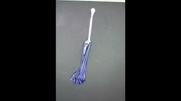 Inverse Dynamics Motion