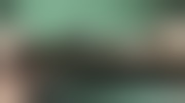 M1 Carbine Stock Identification I-Cut Highwood Lowwood