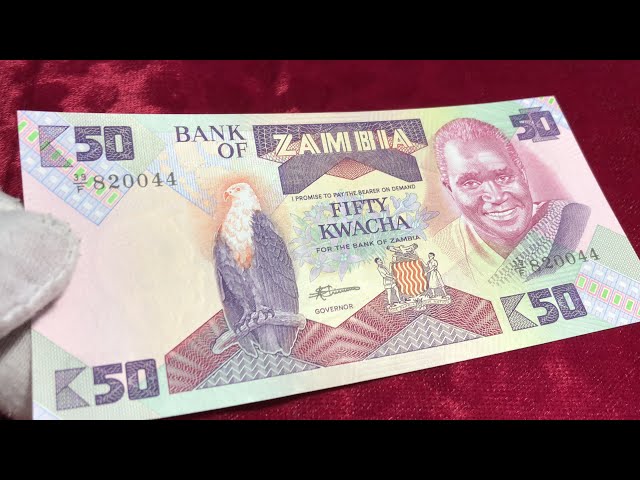 Banknote Fifty Kwacha Zambia class=