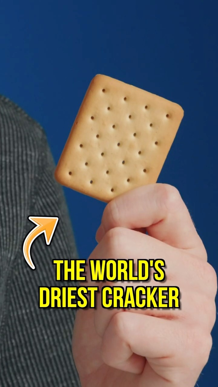 Flintts VS The World's Driest Food