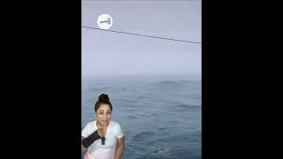 Famous Is this the BEST 🎥 Evidence of a MERMAID? Wealth