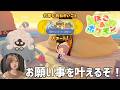 【ぽこあポケモン④】大事なお願い事を叶えるぞ！！！