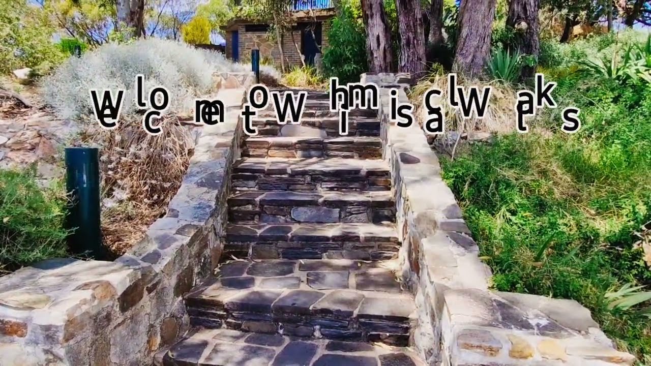 Scenic lookout views