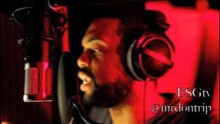 DON TRIP (IM ON ONE)