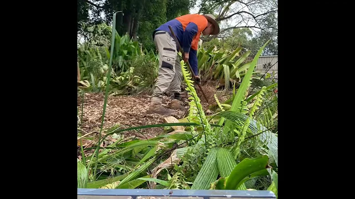 Stump Grinding Virginia