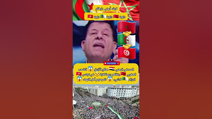 الصحفي اليمني 🇾🇪 صالح الأزرق 😱 الفرق بين الشعب المغربي 🇲🇦 التونسي 🇹🇳 الجزائري 🇩🇿 #الجزائر #المغرب