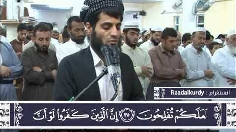 ‏سورة المائدة  تلاوات_نادرة ; بصوت : ‏رعد محمد الكردي , , انستغرام : raadalkurdy