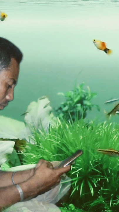 Bagai Kepingan Kaca - Diana Malelak