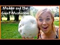 Maddie and the Giant Mushroom! | Maddie Moate