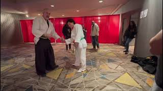 Aiki-jujitsu Joint Lock Flow Demonstration Part 2