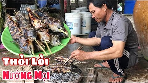 Cách Bắt Những Con Cá Thòi Lòi To Và Món Cá Thòi Lòi Nướng Mọi #Đoàn39Vlog