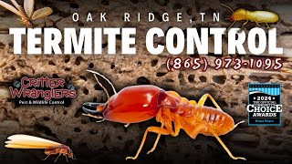 Oak Ridge, TN Termite Control Services (865) 973-1095 - Critter Wranglers, LLC