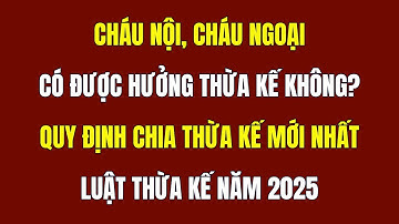 Cháu Nội, Cháu Ngoại Có Được Hưởng Thừa Kế Không? - Pháp Luật Thừa Kế