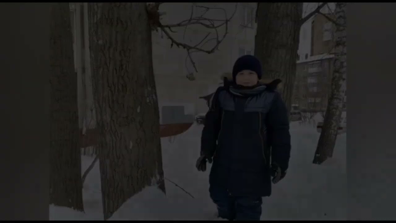 Агитбригада "Эковики"