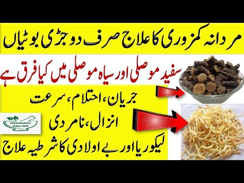 سفید موصلی کے فوائد اور کھانے صحيح وقت اور کس طرح سے کس دوسری اشیاء سے مکس کرکے استعمال کر سکتے