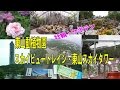 【東山動植物園】スカイビュートレインで植物園へ☆東山スカイタワー地上180ｍからの…