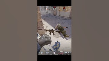 有時候就是這麼離譜【CS2·搞笑】 #csgo #cs2 #全球攻勢 #絕對武力