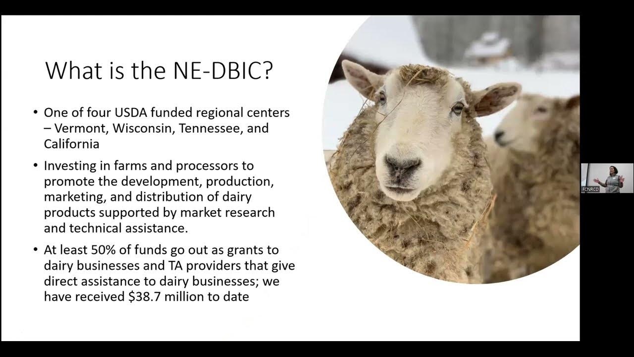 Dairy Business Innovation Center Grants for Farmers Info Session and