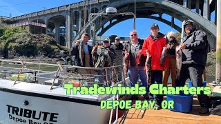 Tradewind Charters, Depoe Bay, OR. Fishing In A Different Town.  #fishing #pacific #ocean screenshot 5