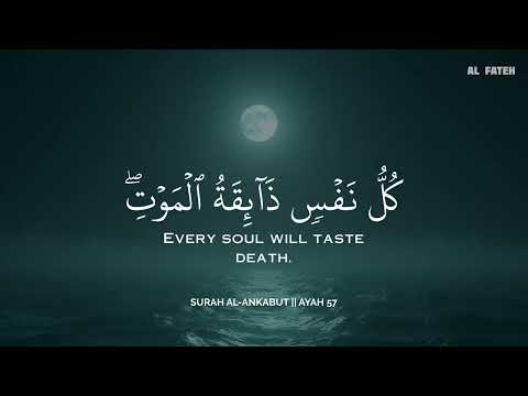 ساعة كاملة تلاوة القران بصوت عبادي حسام للدراسةوالتركيز راحة نفسية Abbadi Houssem