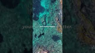 What If The Only Permission You Ever Needed... Was Your Own?