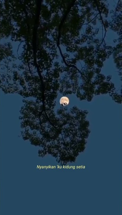 Asmalibrasi - Soegi Bornean #music #viral #soegibornean #asmalibrasi #song