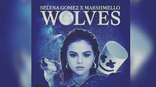 Selena gomez & marshmello - wolves ...