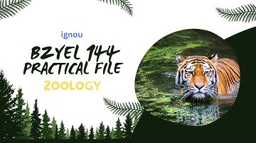 BZYEL 144 PRACTICAL FILE l IGNOU I ZOOLOGY I BSCG
