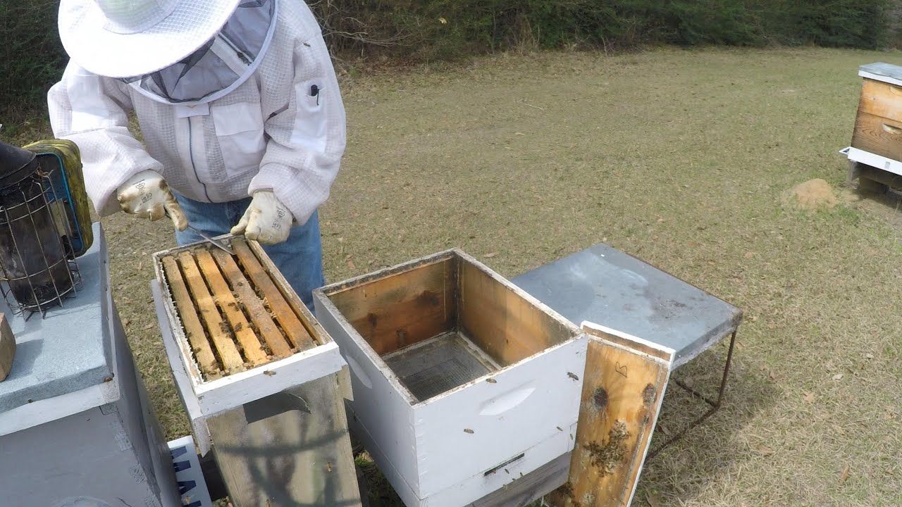 Transferring The Swarm That Was Left Behind