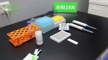 BALLYA Chlorothalonil Test - Detection of Chlorothalonil in Sorghum - BALLYA