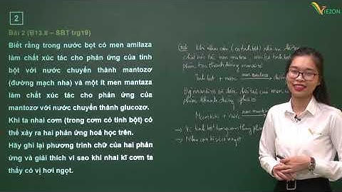 Định luật bảo toàn khối lượng hóa học 8 năm 2024