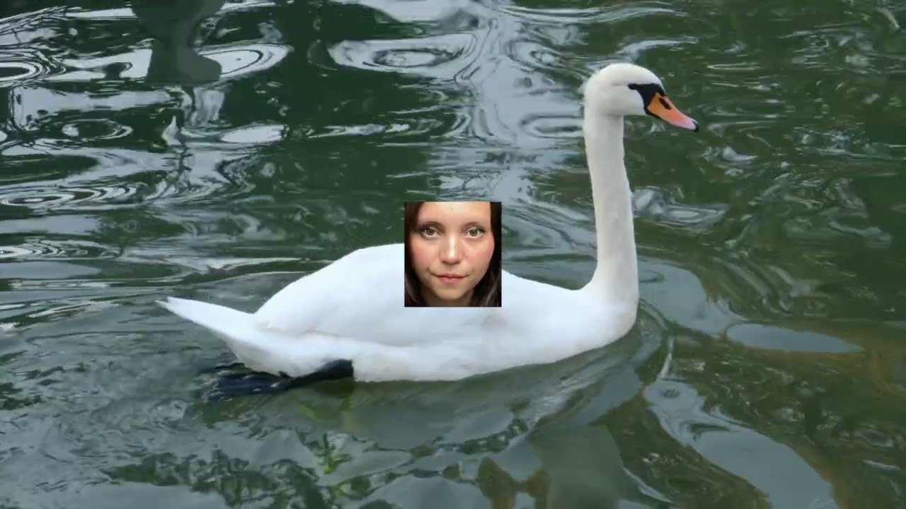 Sea Lemon – Slow Burn (Kacey Musgraves Cover)