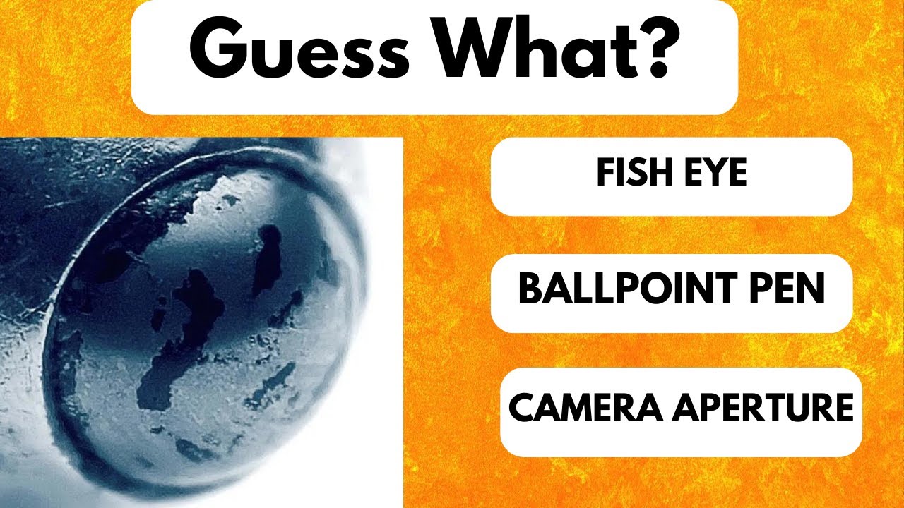 Name That Magnified Object Name quiz YouTube Name That Magnified Object Name quiz YouTube