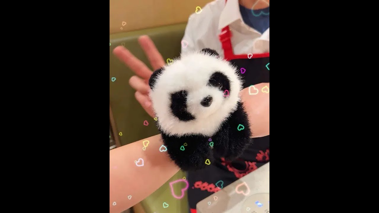 My good friend gave me this cute panda, is that too much? 