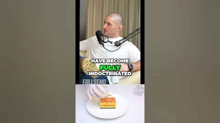 Does WOMEN make the workplace better? #seanstrickland #strickland #ufc #ufc293 #fullsend #happydad