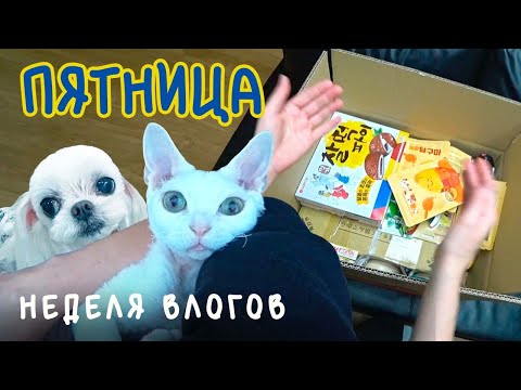 Неделя влогов/ Пятница/ KOREA VLOG/