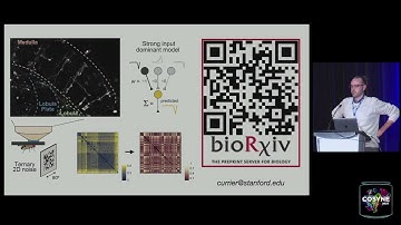 Cosyne 2025 - Session 11: From structure to function