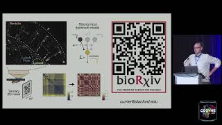 Cosyne 2025 - Session 11: From structure to function