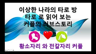 타로 러브 스토리 방 : 황소자리와 전갈자리 연인들의 사랑 : 제너럴 리딩 ( 이상한 나라의 타로 방 시리즈…