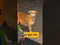 #funny #imotional #shortvideo #comedyfilms