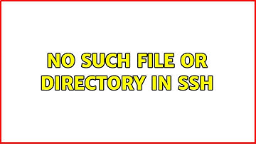 Ubuntu: No such file or directory in SSH