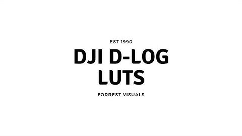 DJI D-LOG Conversion LUTS