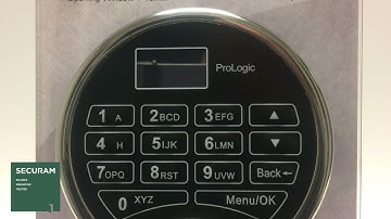 ProLogic   Open with Time Delay