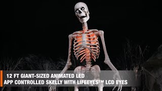 Details 12 FT App Controlled Skeleton Demo (Home Depot) Guide
