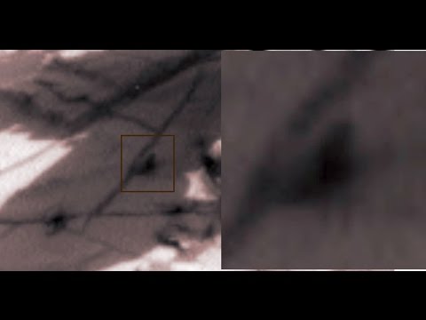 WATCH: 'Tiny Humanoid or insect' spotted walking on surface of Mars