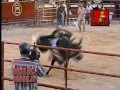 Corridos y jaripeo 1