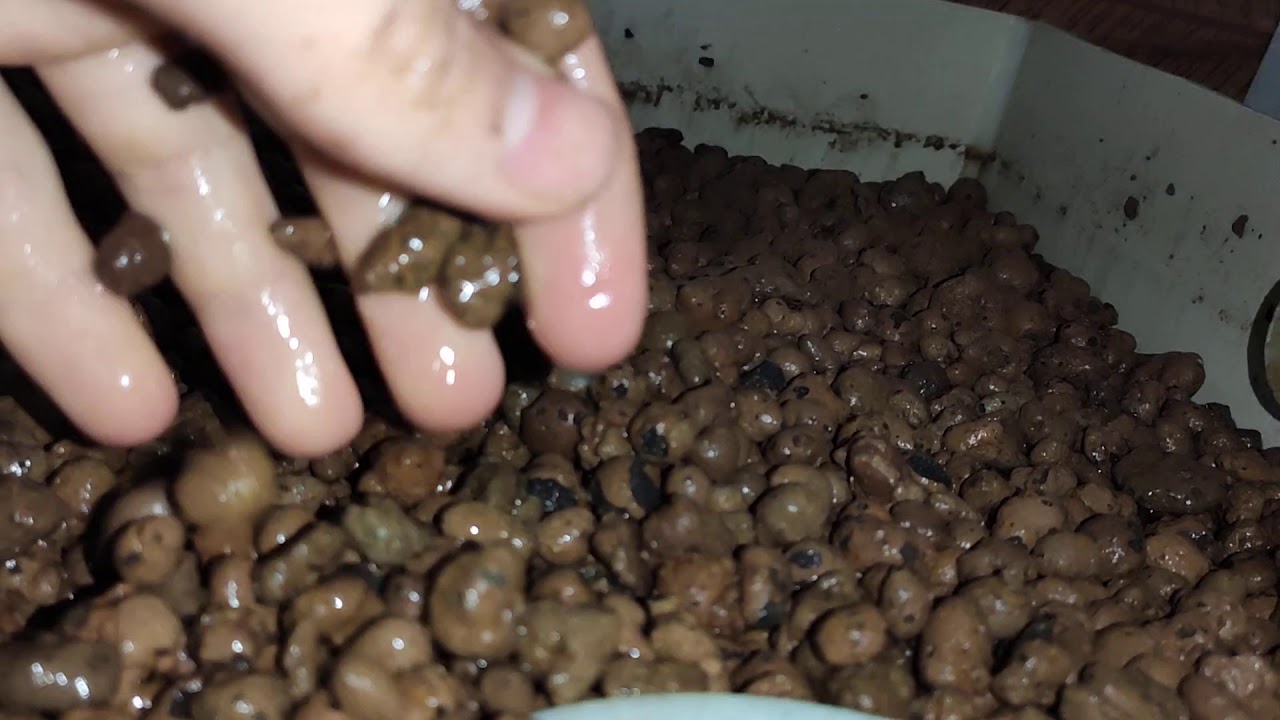 Nádoba s bakteriemi Akvaponie #4