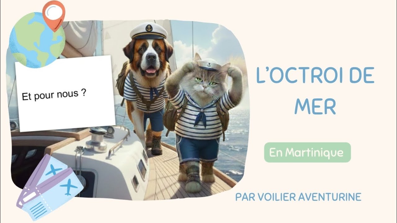 # 53 - L’octroi de mer, on en parle !